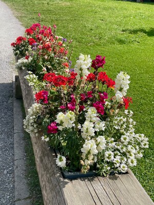 Bild 15_1v2gy2rduuwud.jpg